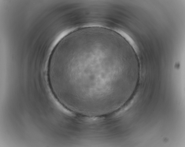 X0000095120949200712071237