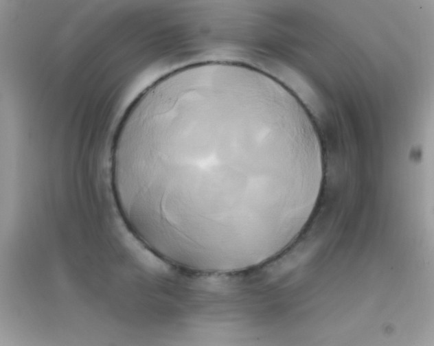 X0000095120950200712071237