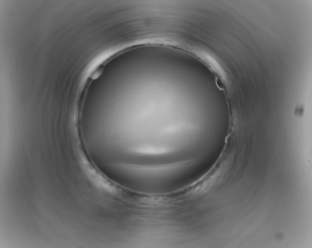 X0000095120952200712071237