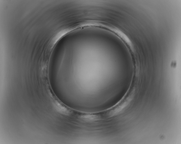 X0000095120953200712071237