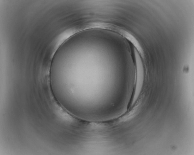 X0000095120954200712071237