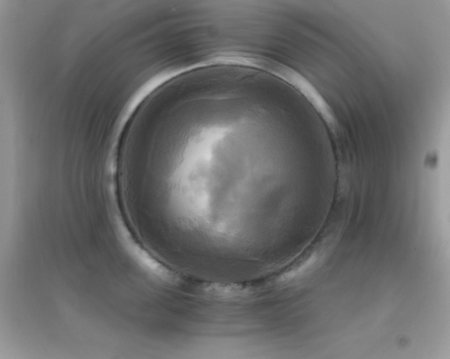 X0000095120955200712071237