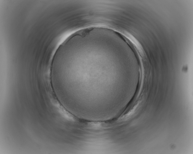 X0000095120956200712071237