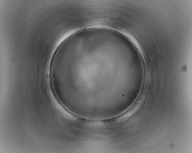 X0000095120957200712071237