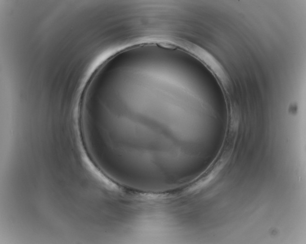 X0000095120958200712071237