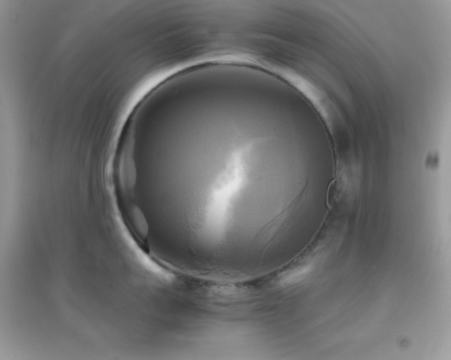 X0000095120959200712071237