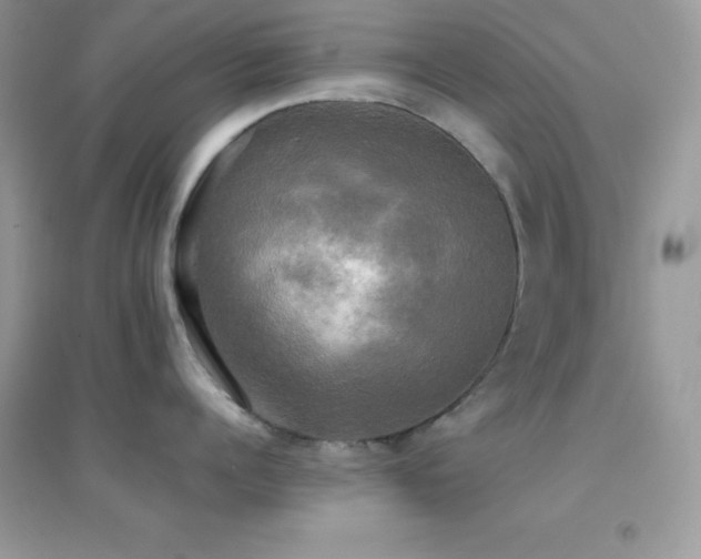 X0000095120960200712071237