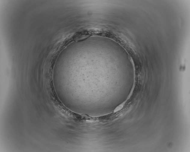 X0000095120961200712071236