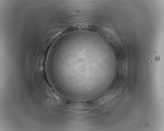X0000095120962200712071236