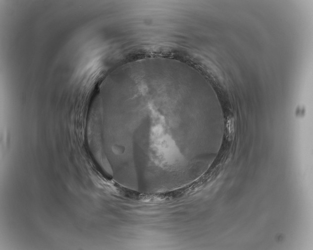 X0000095120963200712071236