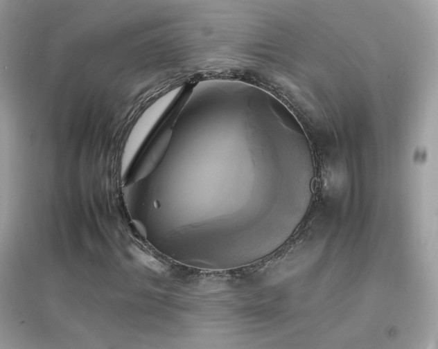 X0000095120964200712071236