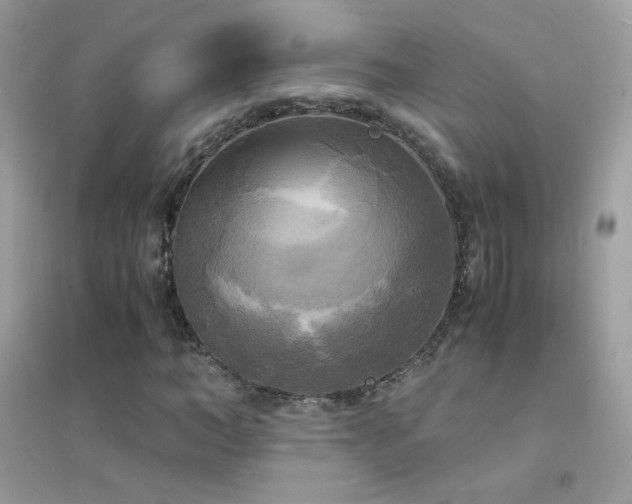 X0000095120966200712071236
