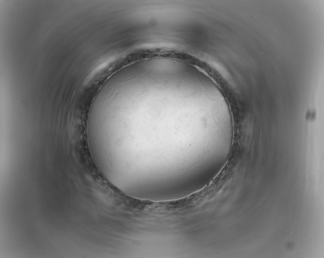 X0000095120967200712071236