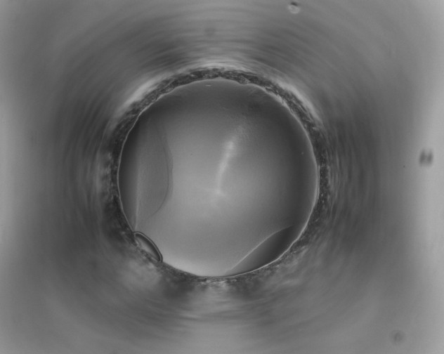 X0000095120968200712071236