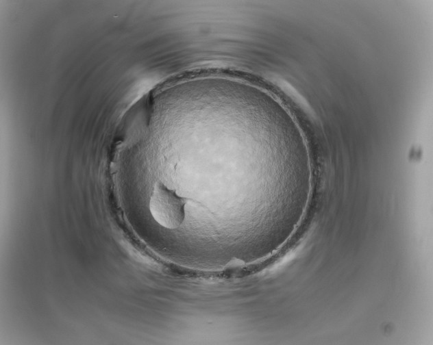 X0000095120969200712071236