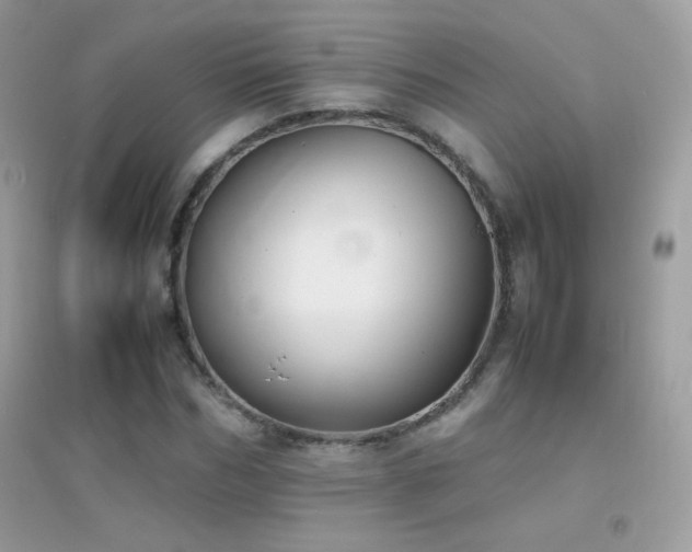 X0000095120970200712071236