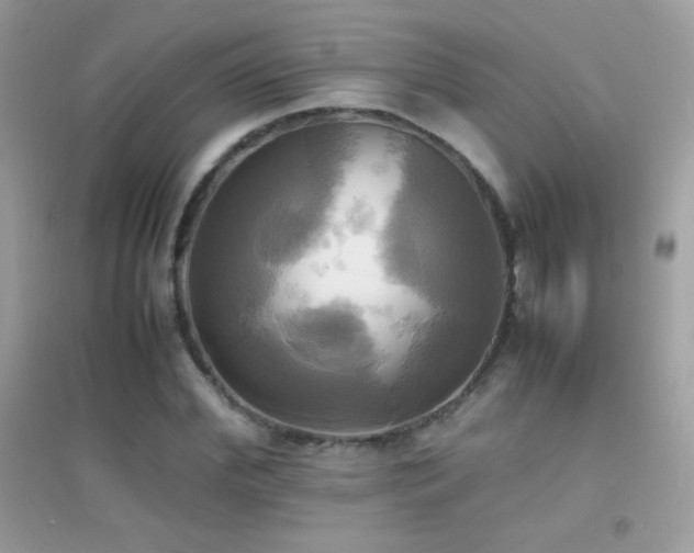 X0000095120972200712071236