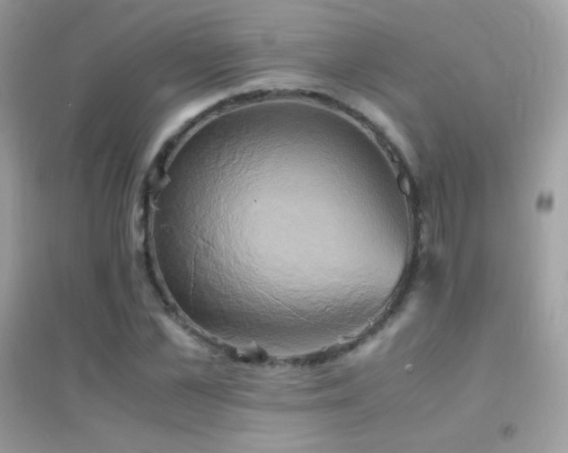 X0000095120973200712071236
