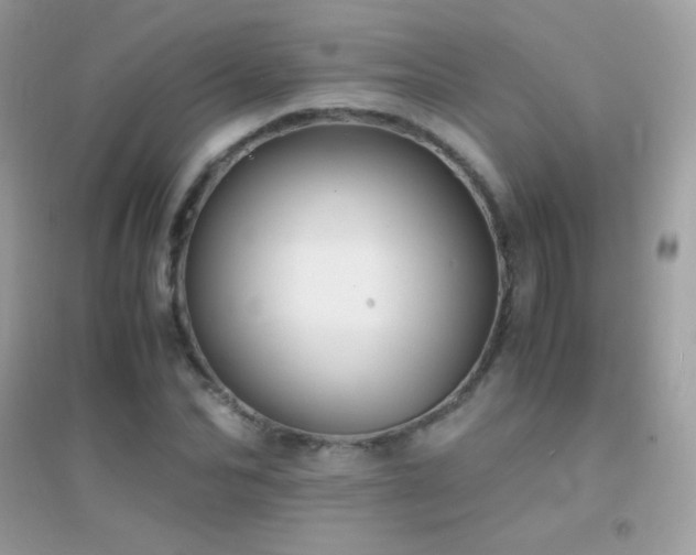 X0000095120974200712071236