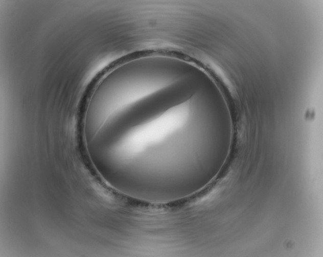 X0000095120975200712071236