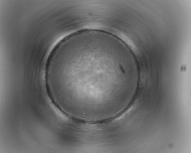 X0000095120976200712071236