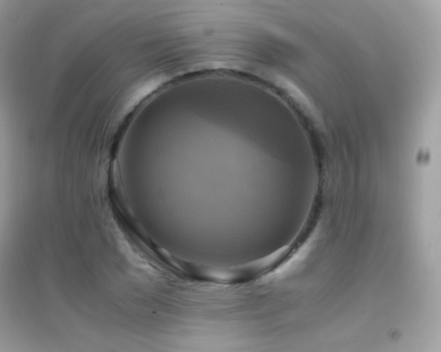 X0000095120977200712071236