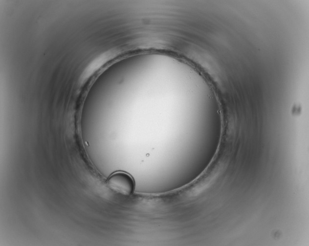X0000095120978200712071236