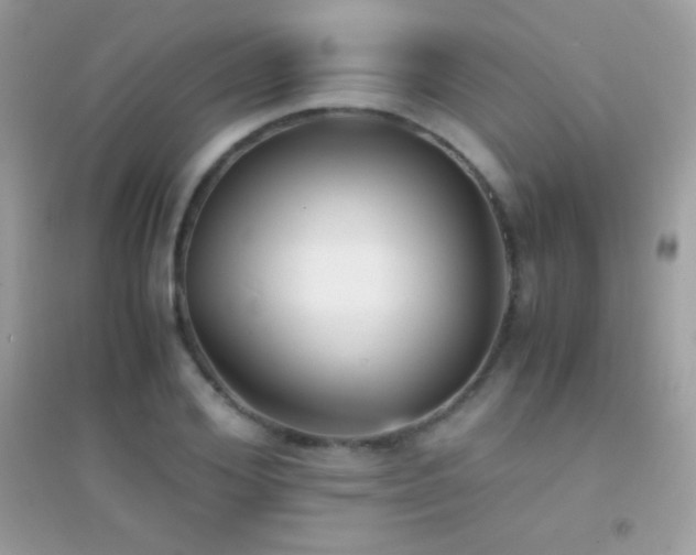 X0000095120980200712071236