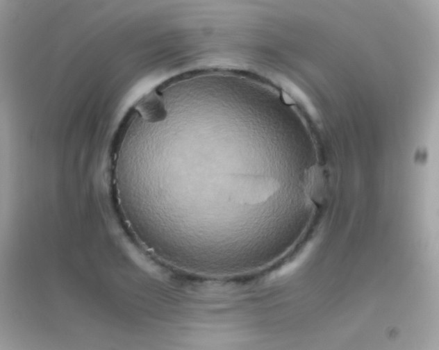 X0000095120981200712071236
