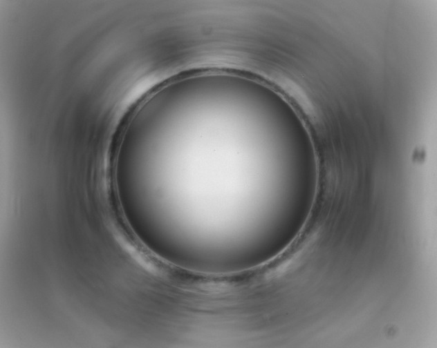 X0000095120982200712071236