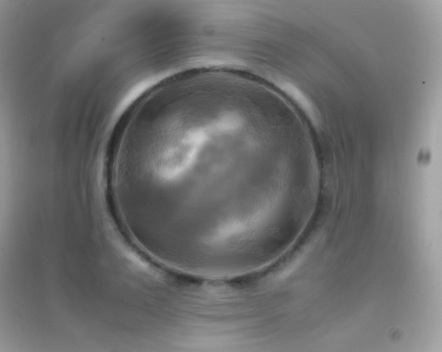 X0000095120983200712071236
