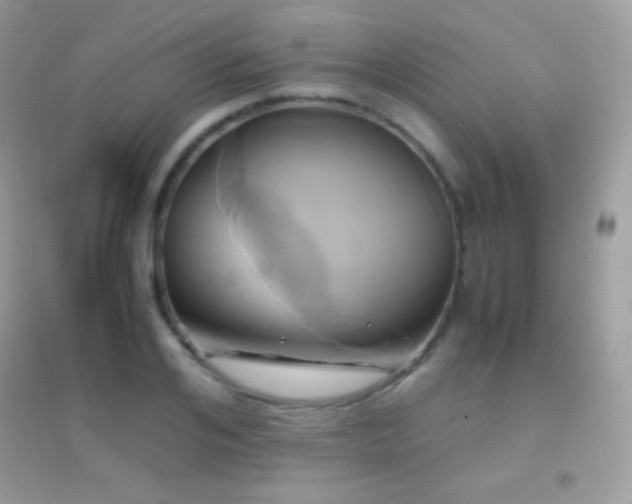 X0000095120984200712071236