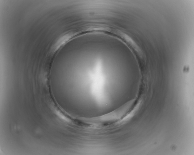 X0000095120985200712071236