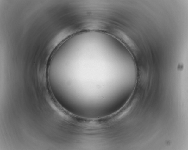 X0000095120986200712071236