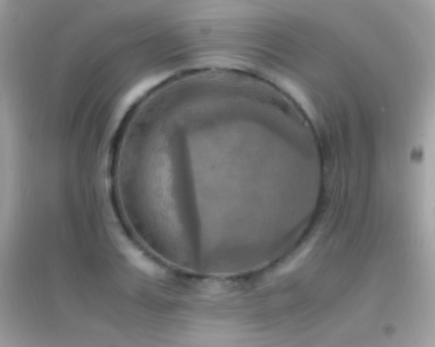 X0000095120987200712071236