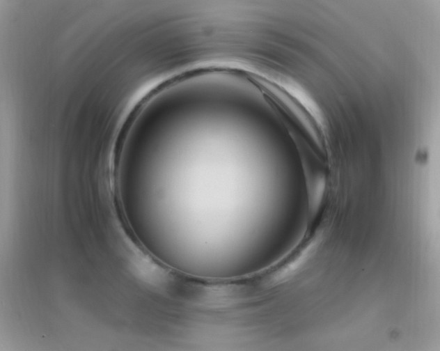 X0000095120988200712071236