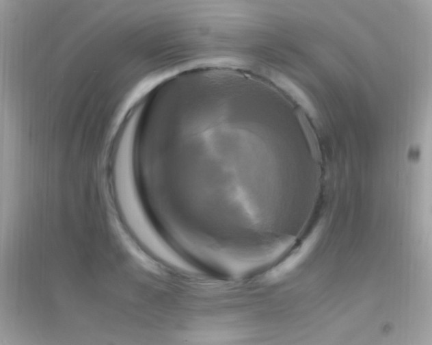 X0000095120989200712071236