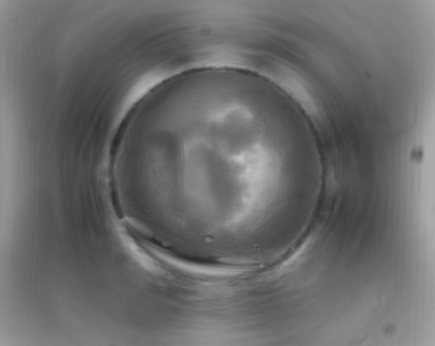 X0000095120990200712071236