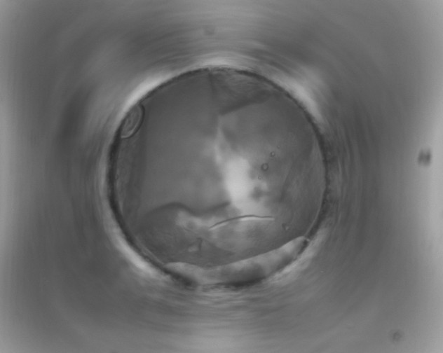 X0000095120991200712071236
