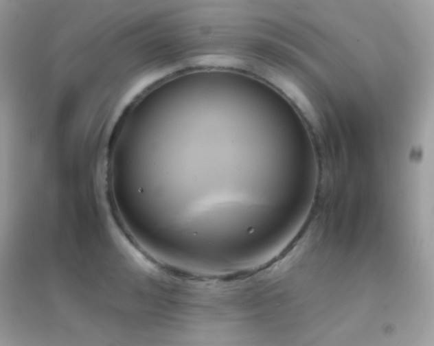 X0000095120992200712071236