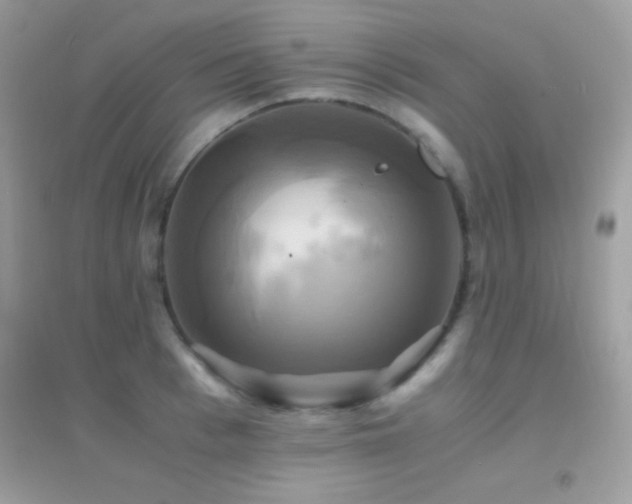X0000095120993200712071236