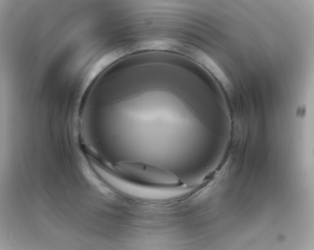 X0000095120994200712071236