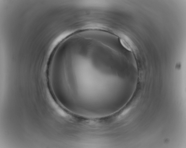 X0000095120995200712071236
