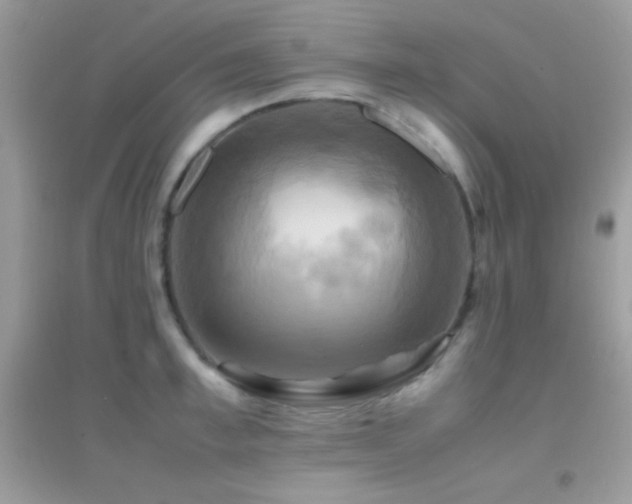 X0000095120997200712071236