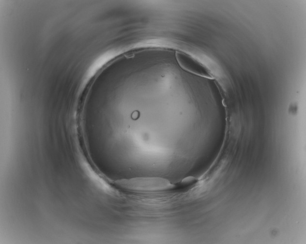X0000095120998200712071236