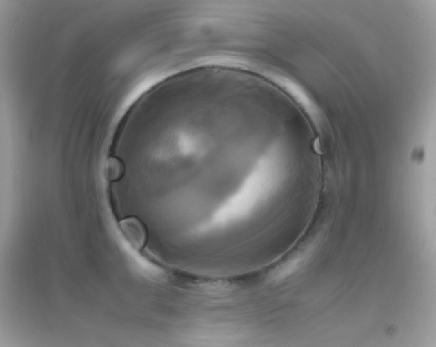 X0000095120999200712071236
