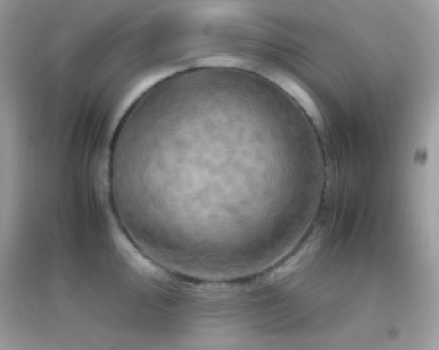 X0000095121000200712071236