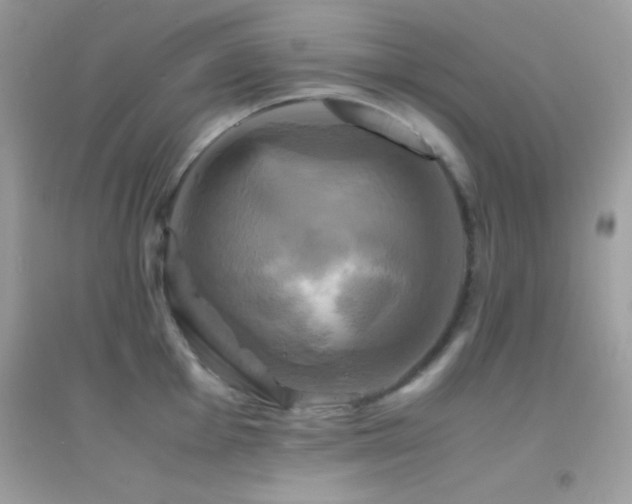 X0000095121001200712071235