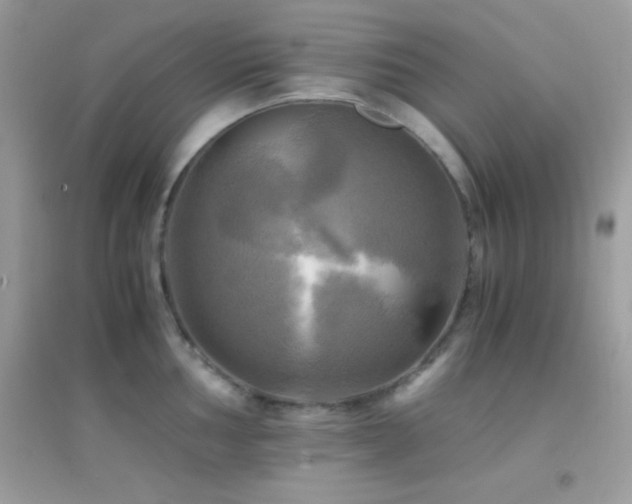 X0000095121002200712071235