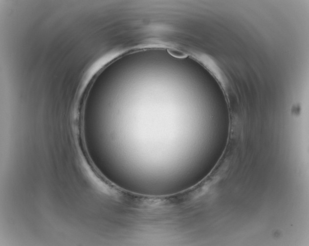 X0000095121003200712071235